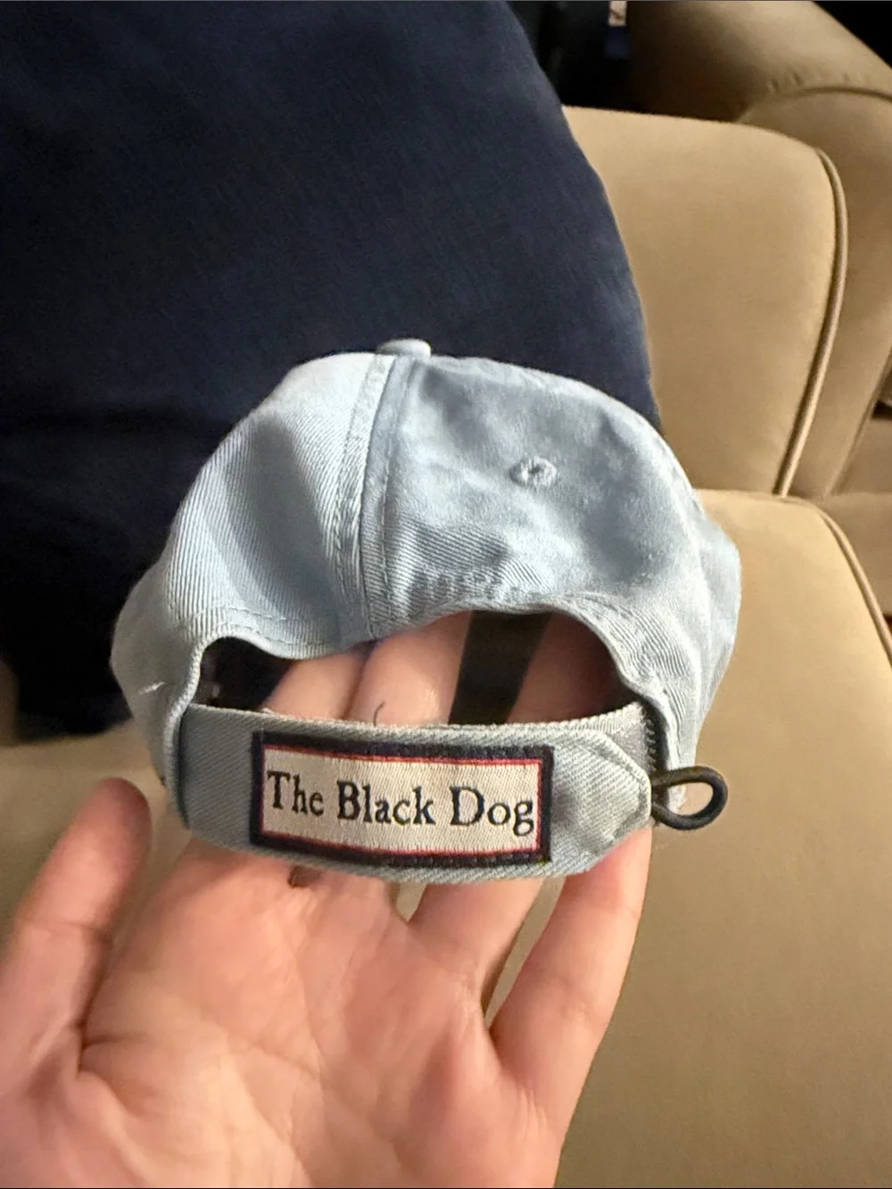 The Black Dog light blue